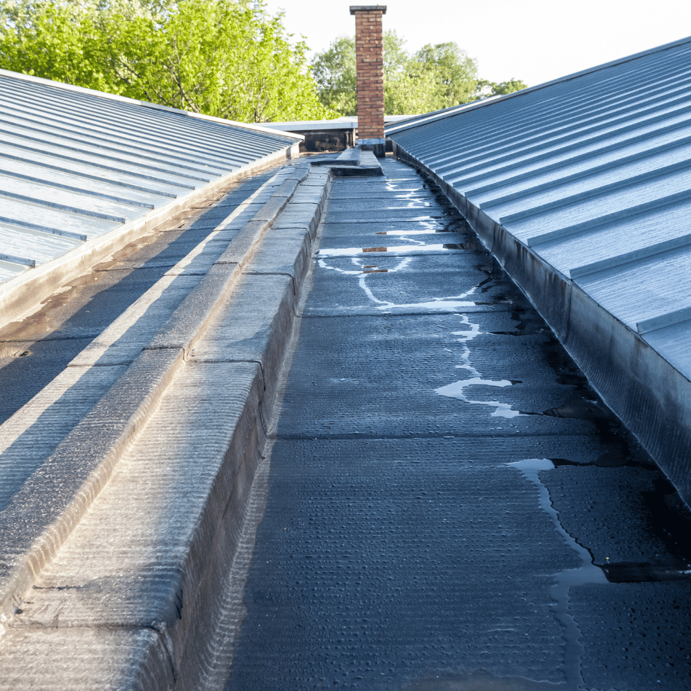 New flat roof